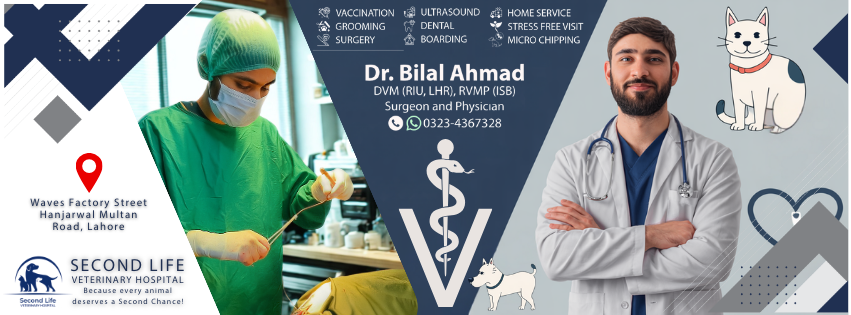 Second Life Veterinary Hospital Banner